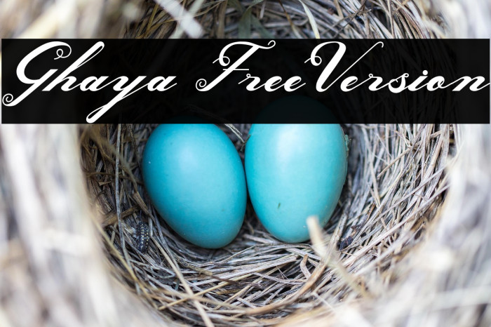 Ghaya FreeVersion Example 3