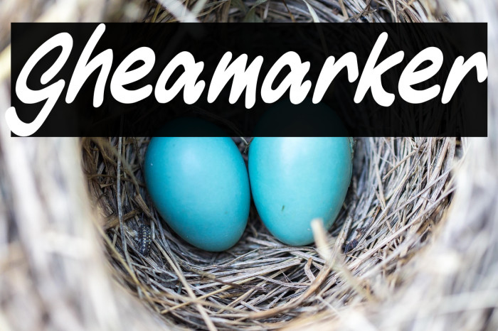 Gheamarker Example 1