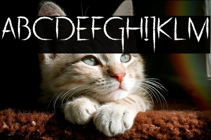 Ghefayjro DEMO Example 3