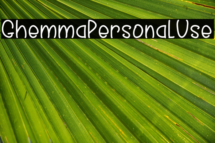 GhemmaPersonalUse Example 1