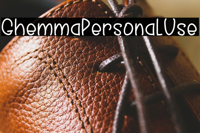 GhemmaPersonalUse Example 2