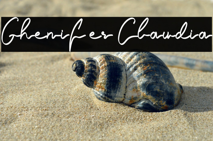 Ghenifer Claudia Example 3