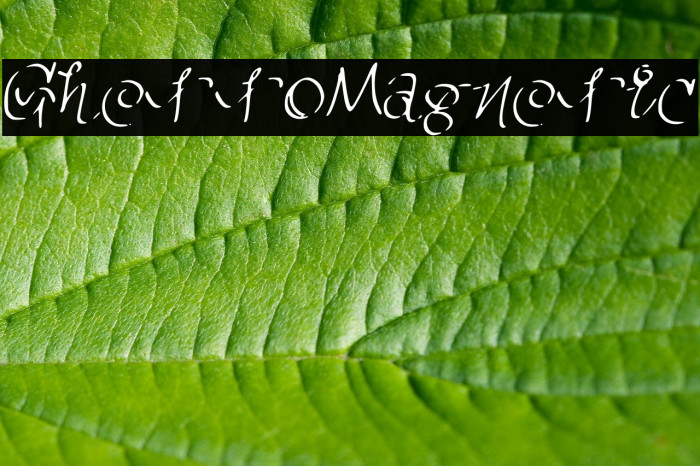GhettoMagnetic फ़ॉन्ट examples