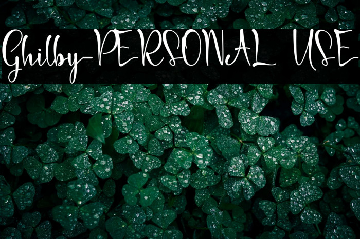 Ghilby-PERSONAL USE Example 1