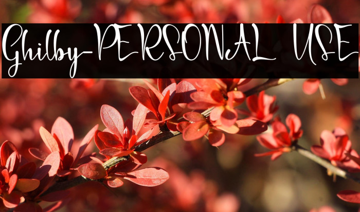 Ghilby-PERSONAL USE Example 2