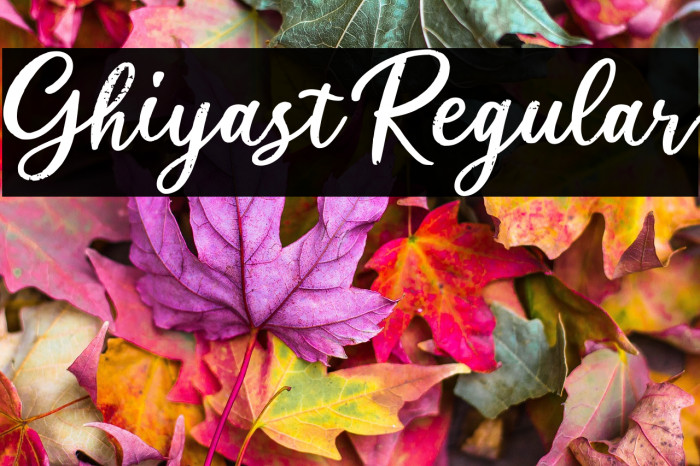 Ghiyast Regular Example 2