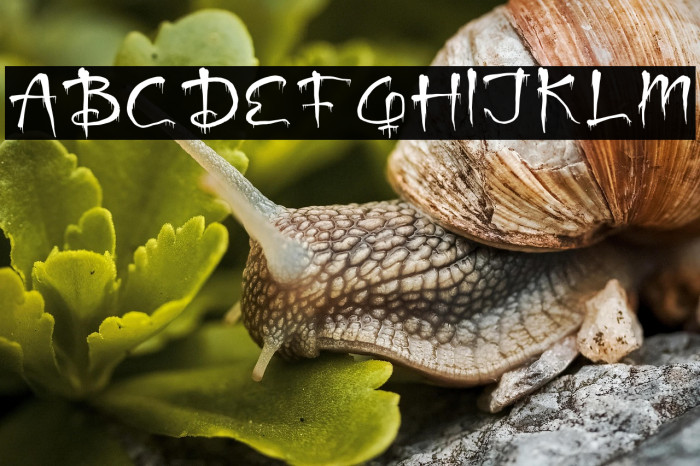 Ghost Activity Blood Example 3