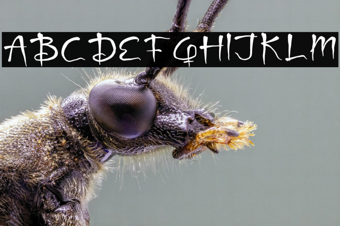 Ghost Activity Example 2