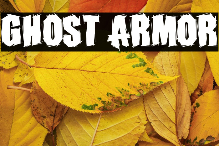 Ghost Armor Example 2