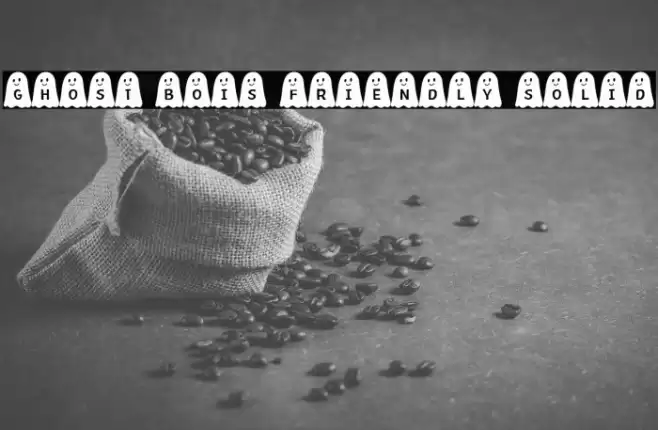 Ghost Bois Friendly Solid Font examples