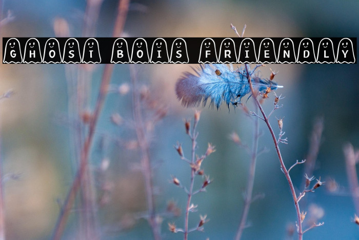 Ghost Bois Friendly Шрифта examples