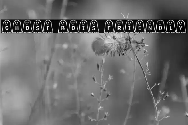 Ghost Bois Friendly Font examples