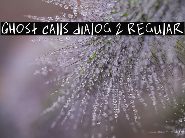 Ghost Calls Dialog 2 Regular Example 3