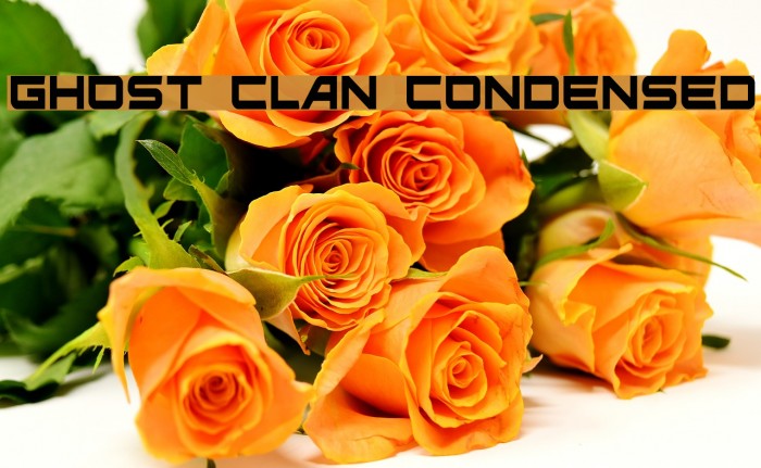 Ghost Clan Condensed Font examples