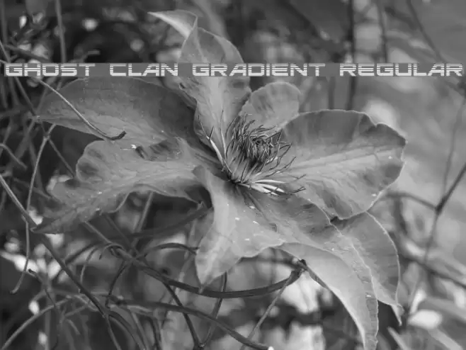 Ghost Clan Gradient Regular Font examples