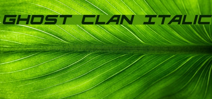 Ghost Clan Italic Font examples
