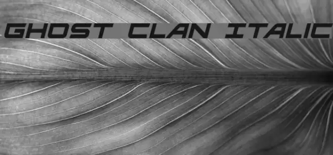 Ghost Clan Italic Font examples