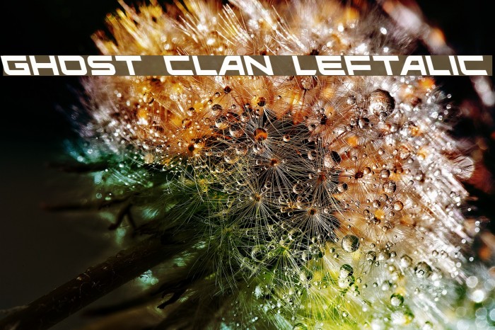 Ghost Clan Leftalic Font examples