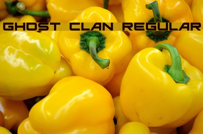 Ghost Clan Regular Font examples