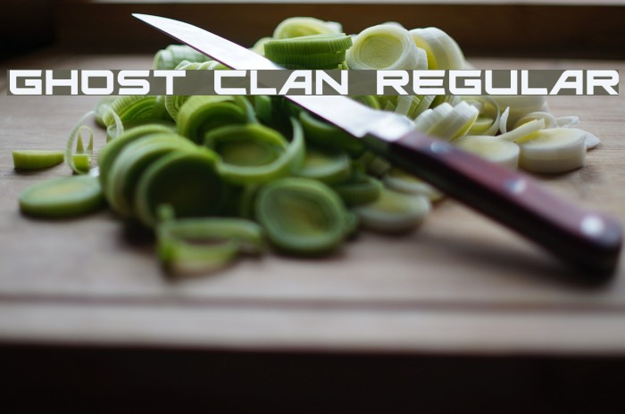 Ghost Clan Regular Font examples