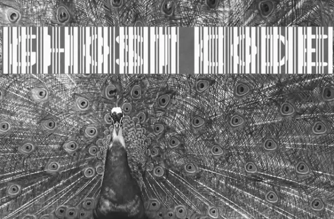 Ghost Code Font examples