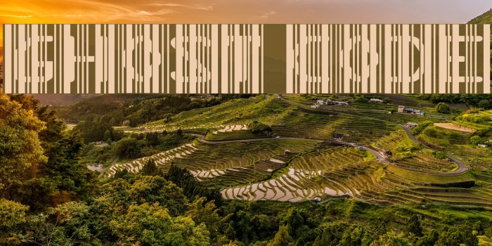 Ghost Code Example 2