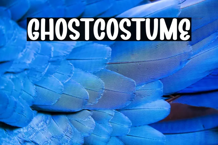 Ghost Costume Example 2