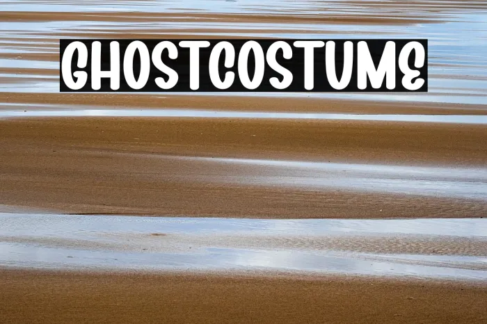 Ghost Costume Example 3