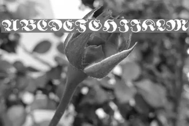 Ghost Gothic Font examples