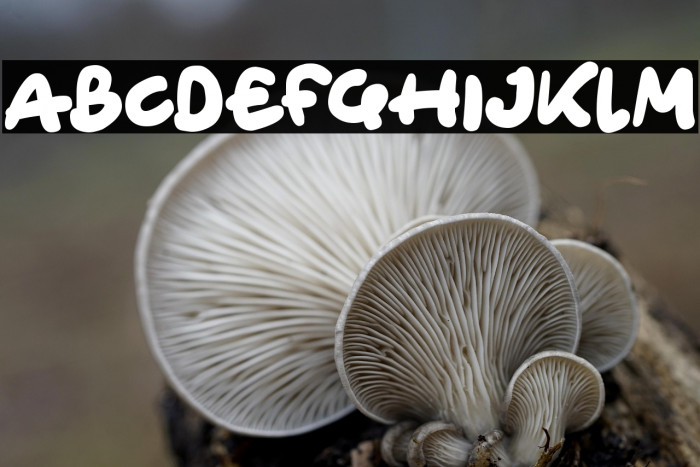 Ghost HOuses Example 1