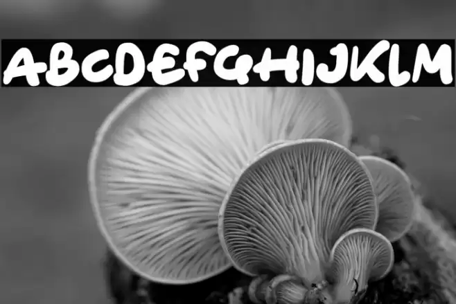 Ghost HOuses फ़ॉन्ट examples