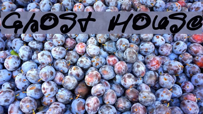 Ghost House Example 2