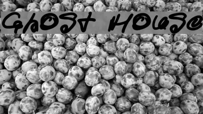 Ghost House Font examples