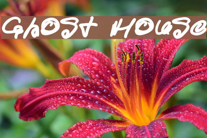 Ghost House Example 3