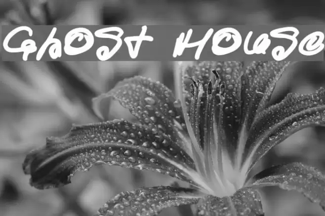 Ghost House Font examples