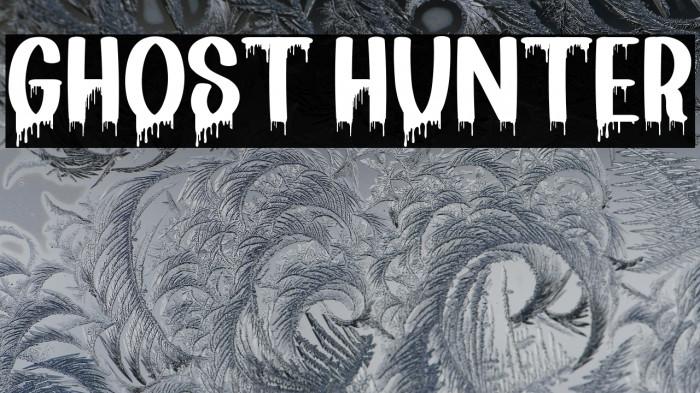 Ghost Hunter Caratteri examples