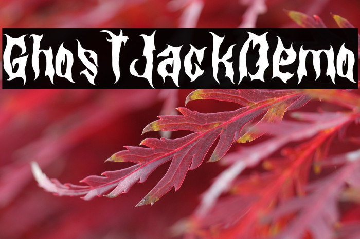 Ghost Jack Demo Example 2