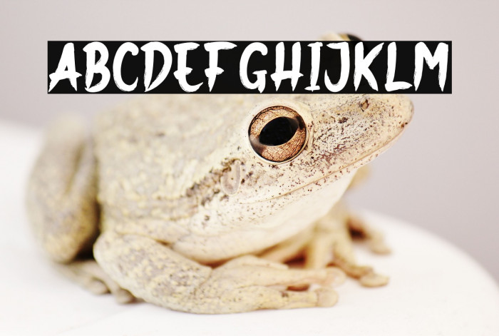 Ghost Nest Example 1