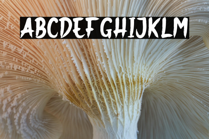 Ghost Nest Example 2