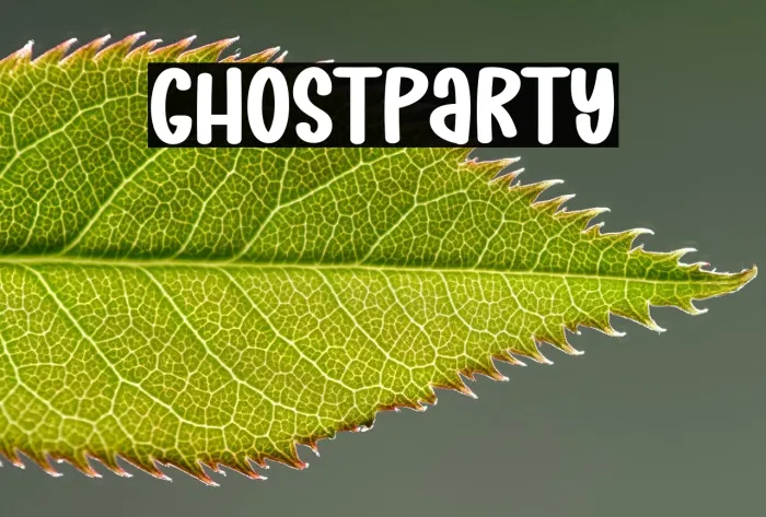 Ghost Party Example 2