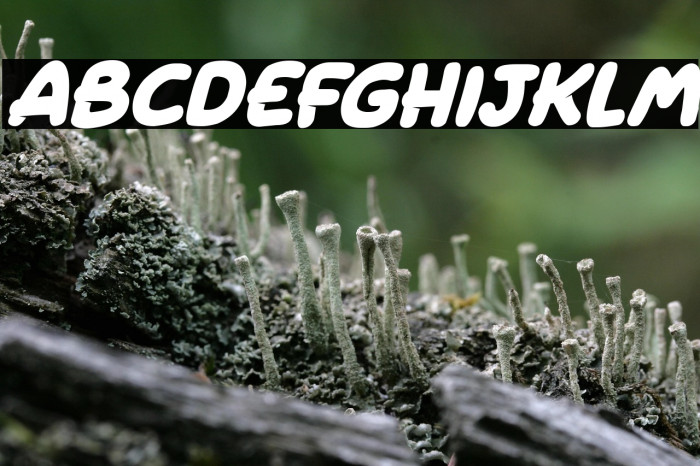 Ghost Pumpkins Italic Example 1