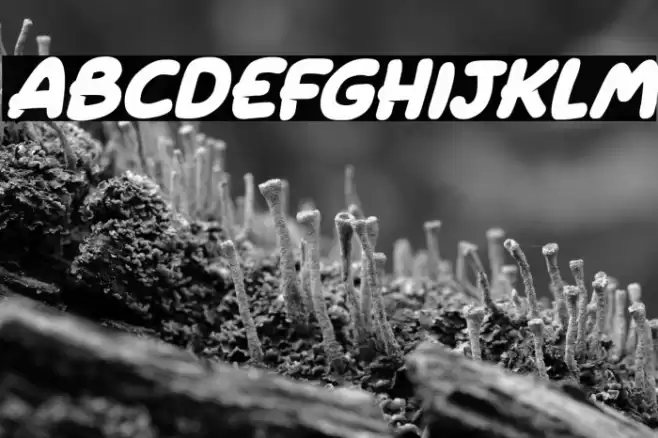 Ghost Pumpkins Italic Font examples