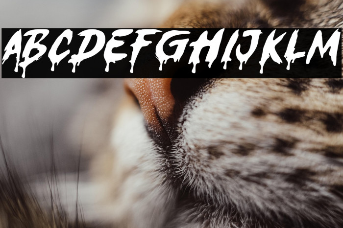 Ghost ShamZ Example 2