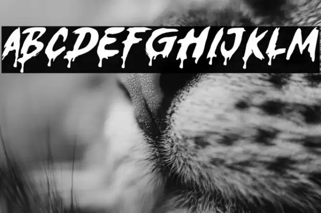 Ghost ShamZ Font examples