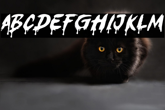 Ghost ShamZ Example 3