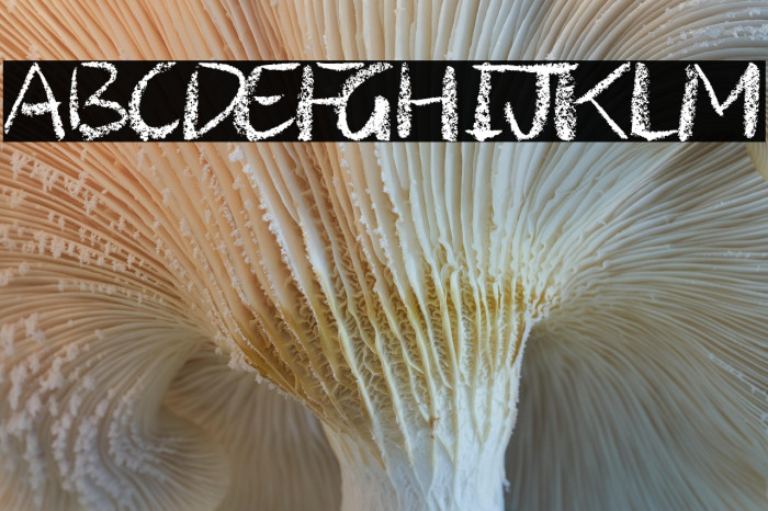 Ghost Story Example 3