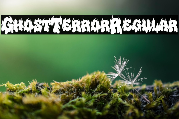 Ghost Terror Regular Example 3