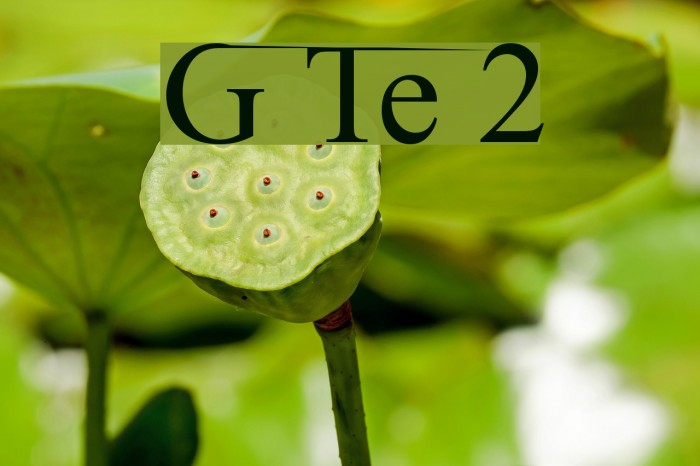 Ghost Theory 2 Example 3