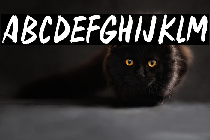 Ghost Writer Example 2