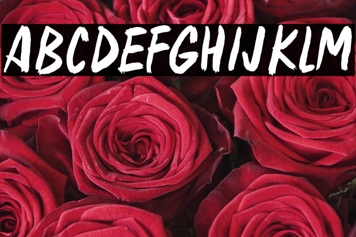 Ghost Writer Example 3